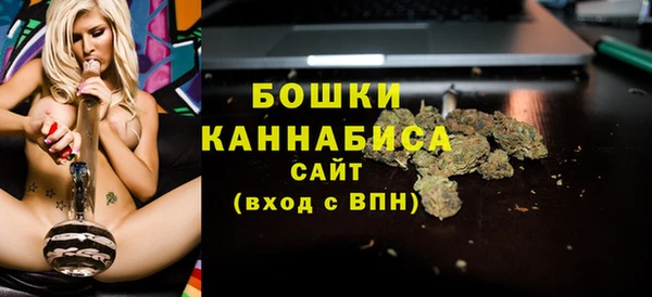 прущие грибы Беломорск