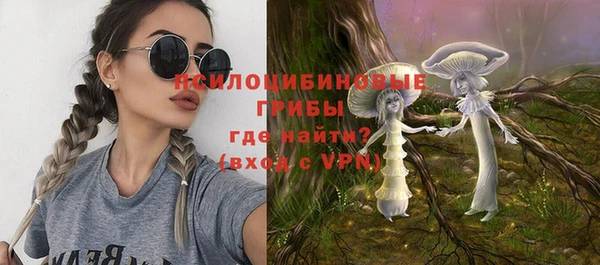 прущие грибы Беломорск