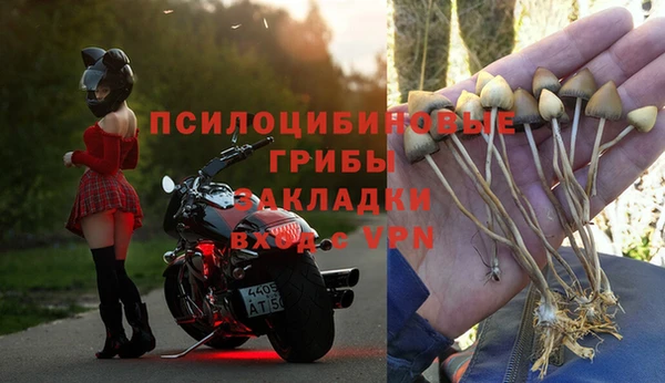 spice Богородицк