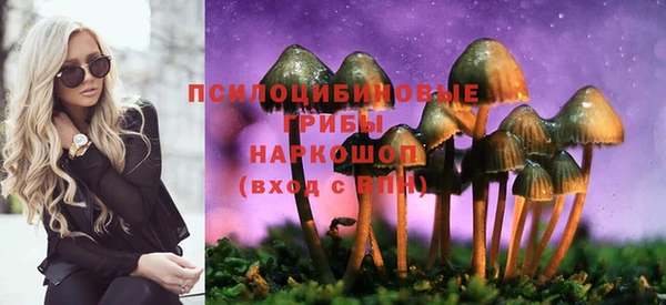 прущие грибы Беломорск