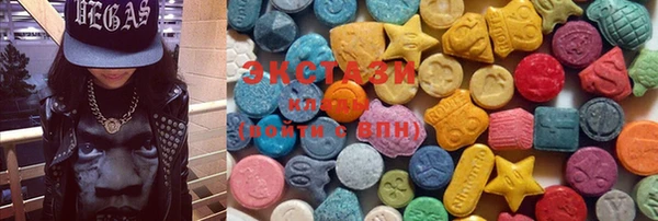 spice Богородицк